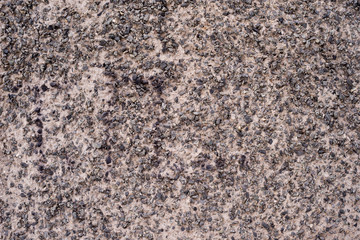Texture of the wall made of concrete and stone chips. Structure.