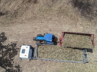 Vue aérienne de la récolte de la canne à sucre en Martinique