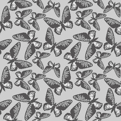 Elegant endless pattern with butterflies