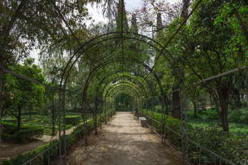 Fototapeta na wymiar Green corridor in Seville