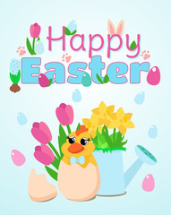 Easter banner or card in soft blue tones with a happy smiling chicken, watering can, pink tulips and daffodils in a watering can. Text Happy Easter.