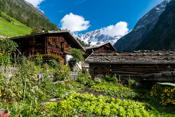 altes Holzhaus Bauernhof in Südtirol mit Gemüsegarten und Blick auf die verschneiten Berge