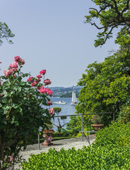 A path among beautiful plants on the shore of lake Garda. Italy. Soft focus, blurry background.
