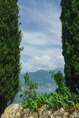 View of the far shore in the haze of lake Garda from behind the cypress trees. Italy. Soft focus, blurry background.