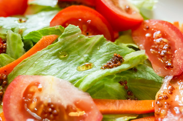 salad with red tomato and green lettuce
