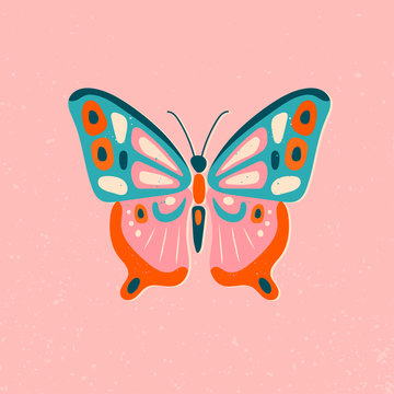 Hand drawn beautiful Butterfly. Colorful Vector illustration. Top view. Pastel colors. Pre made card. Isolated on pink background 