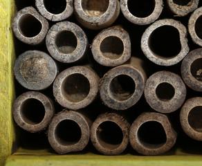Insektenhotel Bienenhotel mit kleinen Röhren Bambus 