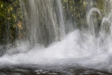 Fototapeta premium waterfall in the forest