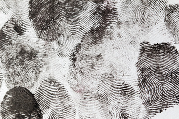 fingerprints on a white background