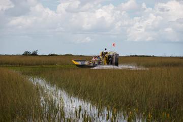 Fototapeta premium Exploring Everglades National Park by iconic airboat tour with scenic reflections (Everglades, Miami, Florida, USA)