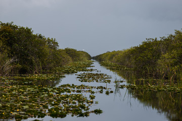 Exploring Everglades National Park by iconic airboat tour with scenic reflections (Everglades, Miami, Florida, USA)