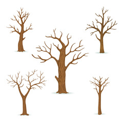 Set of bare, leafless trees with empty branches isolated on a white background. Vector winter, autumn icon. © Tatiana Zhzhenova