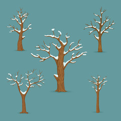 Set of bare, leafless trees with snow covered branches isolated on blue background. Winter, late autumn season icon, symbol. - obrazy, fototapety, plakaty