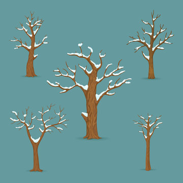 Leafless winter tree with long bare branches, isolated on white background.  3D rendering. Stock Illustration