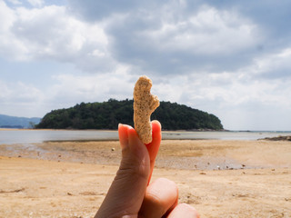 women hand take coral at Layan Beach at Phuket Thailand