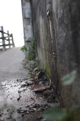 wall life