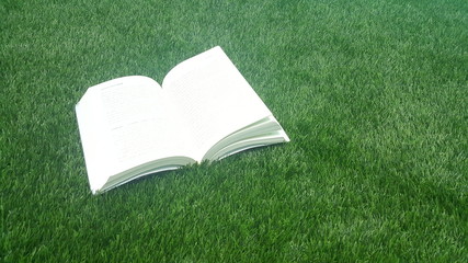 open book on the green grass