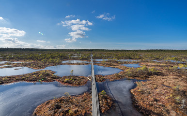Aerial view, raised bog in early spring, some pools are still frozen, some are already open and reflect the sky and bonsai size pine trees. Bright day, blue sky and white clouds. Endla Nature reserve.