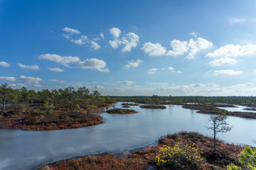 Raised bog in early spring, some pools are still frozen, some are already open and reflect the sky and bonsai size pine trees. Bright day with blue sky and white clouds.
