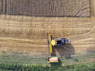 Combine harvester at work in field