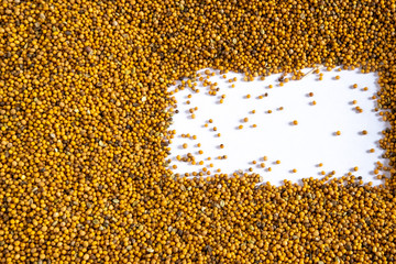 The background of mustard seeds is yellow in color and there is a small space under the inscription (copyspace) on the right in white. Crops of mustard green manure.