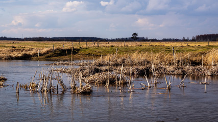 Wieś Jagłowo nad Biebrzą, Biebrzański Park Narodowy. Podlasie, Polska © podlaski49