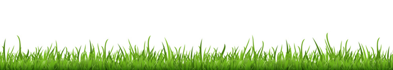 seamless floral grass panorama background