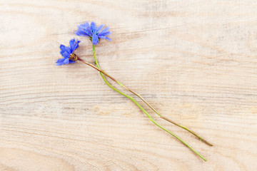 Blue summer flowers lie on a natural wooden background.