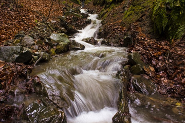 Nature of rivers and streams