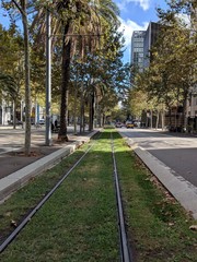 The co-existence of a jungle in the city of Barcelona