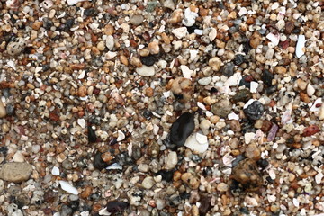 Textura playa