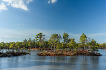 Raised bog in early spring, some pools are still frozen, some are already open and reflect the sky and bonsai size pine trees. Bright day with blue sky and white clouds.
