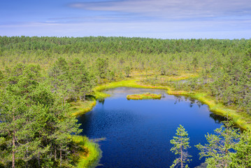 Viru bog (Viru Raba) in Lahemaa national Park, a popular natural attraction in Estonia. Picturesque landscape with swamp and forest