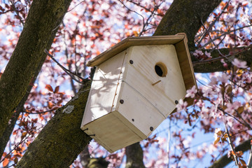 Wooden house for birds on tree.