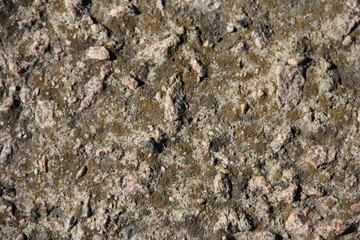 Relief texture of the stone. Gray stone.