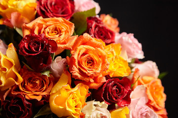 Bouquet of different color roses with water drops on petals on a black background. Red, orange and pink flowers. Romantic Valentine's Day Gift