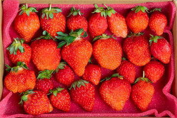 Fresh strawberries in white porcelain plate on wooden table