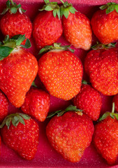 Fresh strawberries in white porcelain plate on wooden table