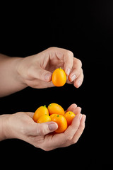 Kumquat , small oval citrus fruits, nagami variety