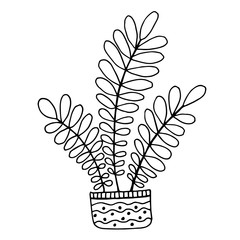 Cute hand drawn flower plant in pot. Doodle vector illustration house plants for your designes. Isolated on white background.