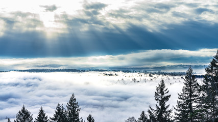 Trees peeking through cloud inversion carpeting Fraser Valley floor winter