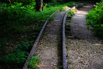 railway in the forest
