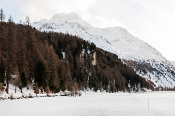 Fototapeta premium Sils, Silsersee, Langlauf, Langlaufloipe, Maloja, Malojawind, Piz da la Margna, Seeufer, Winter, Wintersport, Winterwanderung, Abendstimmung, Oberengadin, Alpen, Graubünden, Schweiz