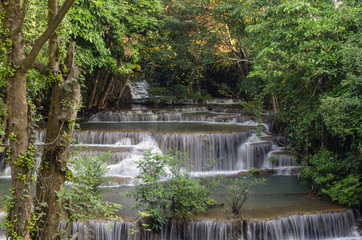 waterfall in forest