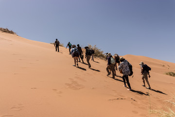 people climbing a desert dune