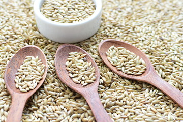 Seed of birdseed, food for birds, displayed in containers on textured background