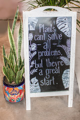 White wood standing sign surrounded by plants saying plants can't solve all problems but they are a great start