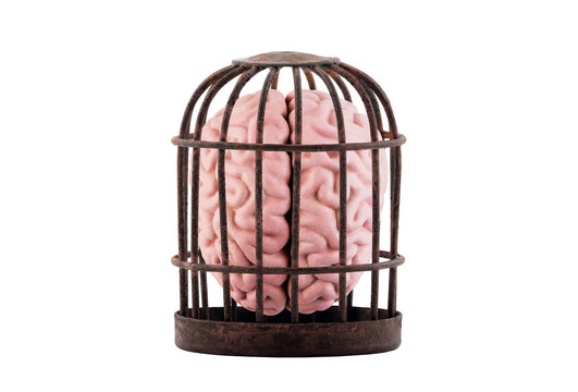 Human Brain Trapped In Old Rusty Cage Isolated On White. Free Your Mind Concept.