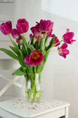 Fototapeta na wymiar Vivid bouquet of purple tulips in Still Life in a glass vase on white wooden chair. White interior.