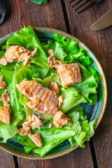 fish salad canned salmon or tuna (lettuce and other ingredients) menu concept background. top view. copy space for text